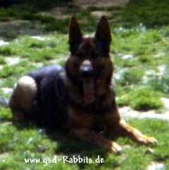 Olf vom Heidetal