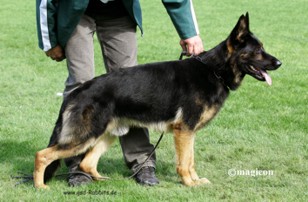 Hutch von der kalten Hardt